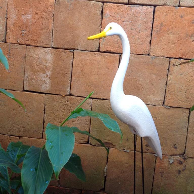 Jardim Secreto Villa Morro de São Paulo Exteriör bild